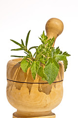 Image showing mortar with herbs