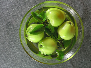 Image showing summertime fruits: apples