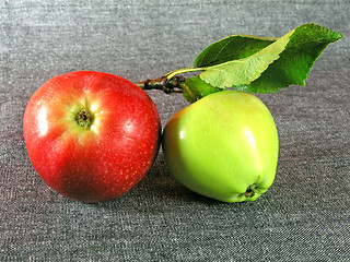 Image showing summertime fruits: apples