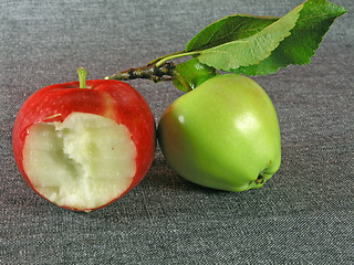 Image showing summertime fruits: apples