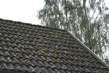 Image showing Roof with moss