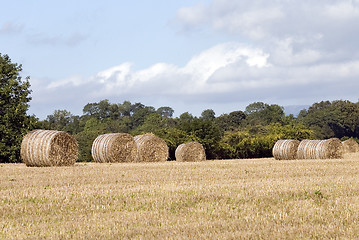 Image showing Hay bales