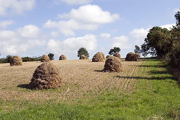 Image showing hay stacks