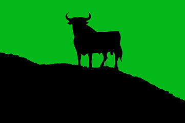 Image showing bull