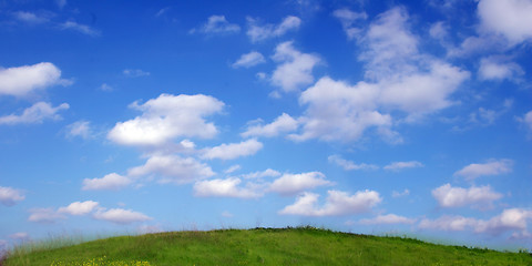 Image showing Background Of Sky And Grass