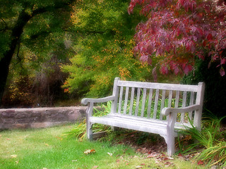 Image showing Bench in a park