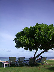 Image showing Beach vacation