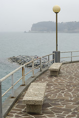 Image showing celle ligure