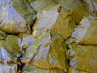 Image showing Grapevine leaves