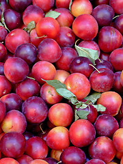 Image showing Organic peaches pile