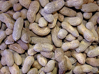 Image showing Peanuts in a nut shell