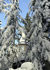 Image showing Big house in the woods