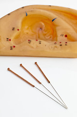 Image showing acupuncture needle ear