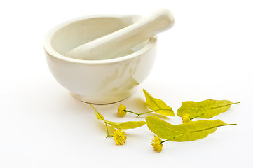 Image showing lime-tree blossom