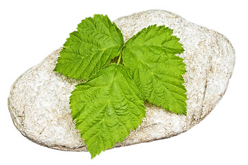 Image showing stone with leaf