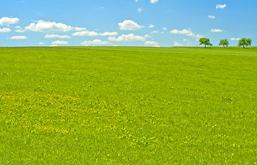 Image showing green with blue sky and clouds