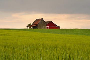 Image showing barn in sunset light