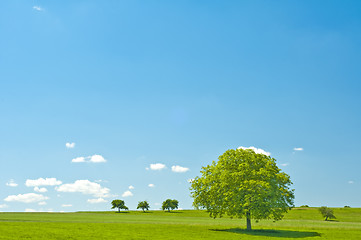 Image showing green with blue sky and clouds