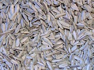 Image showing Sunflower seeds pile