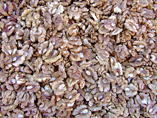 Image showing Walnuts