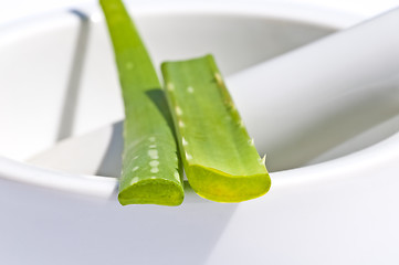 Image showing aloe with mortar