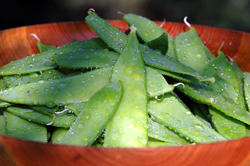 Image showing Wet sweet peas