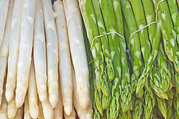 Image showing asparagus