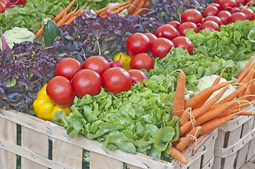 Image showing vegetables fresh mixed