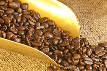 Image showing coffee beans 