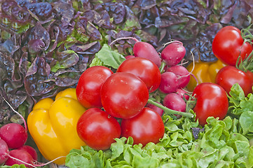 Image showing vegetables fresh mixed