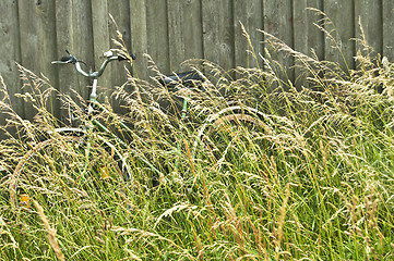 Image showing bicycle hidden in grass