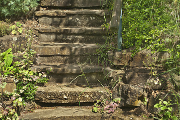 Image showing stairs with flowers
