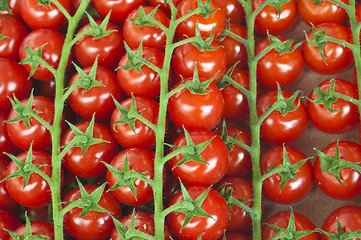 Image showing tomato 