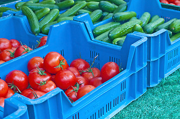 Image showing tomato and cucumber