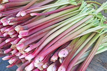 Image showing rhubarb