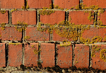 Image showing Mossy red brick wall old architecture background 