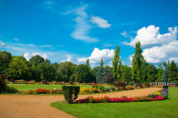 Image showing Garden of flowers