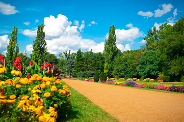 Image showing Garden of flowers