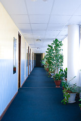 Image showing Hotel Corridor