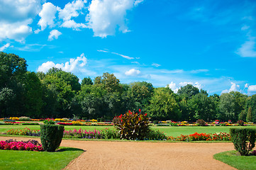 Image showing Garden of flowers