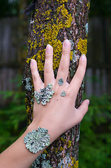 Image showing lichen on the hand