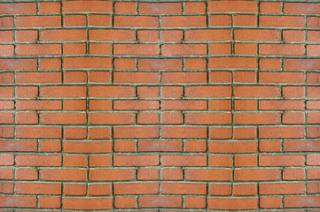 Image showing Brick Wall Texture