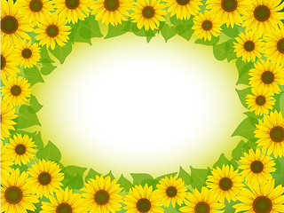 Image showing sunflower frame