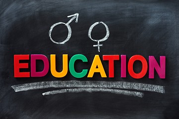 Image showing Sex education concept