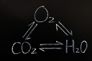 Image showing Interaction of oxygen,carbon dioxide and water
