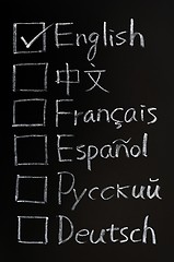 Image showing Check boxes of different languages