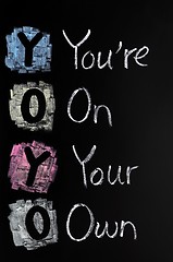 Image showing YOYO acronym - You're on your own