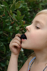 Image showing the girl eats a blackberry