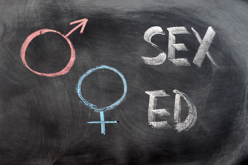Image showing Sex education with gender symbols