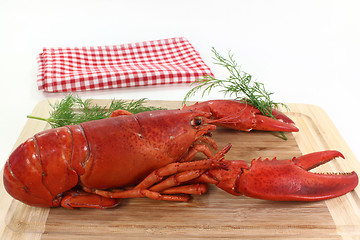 Image showing lobster